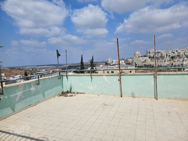 אור החיים 