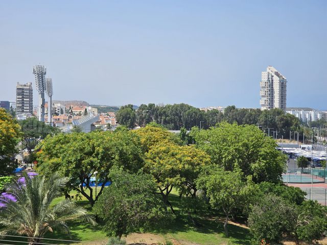 הקוממיות 