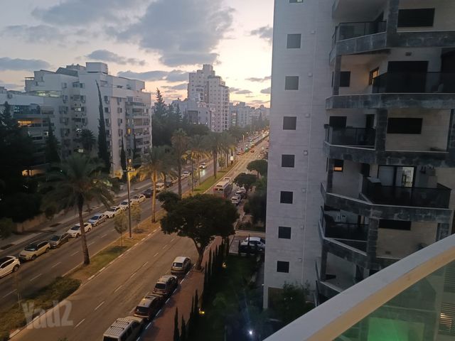 משה דיין 