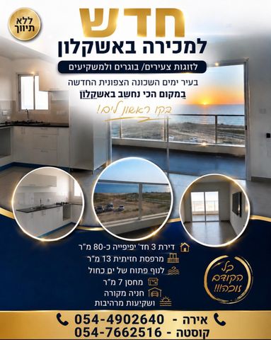 צדפים 1