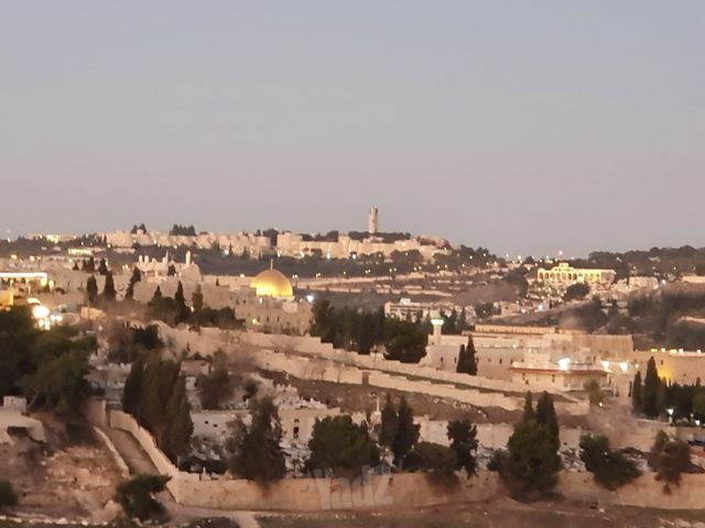 עין רוגל 16