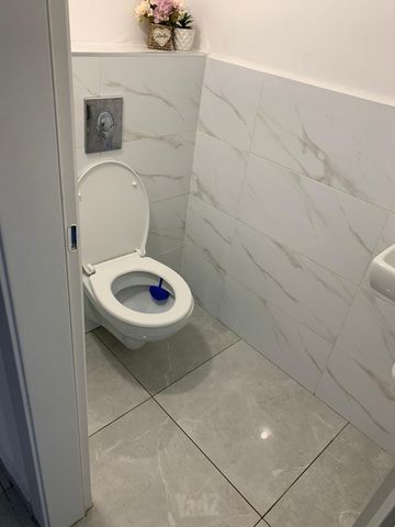 משה לב עמי 8