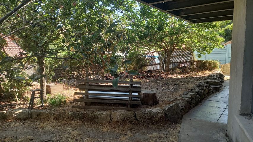 הזית 1