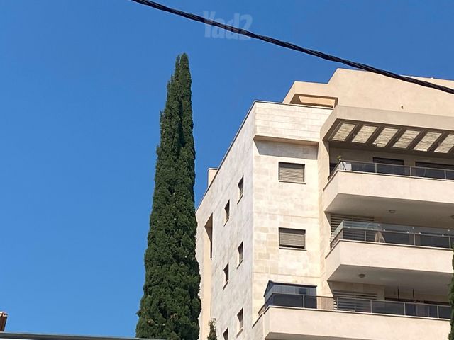 ראשונים