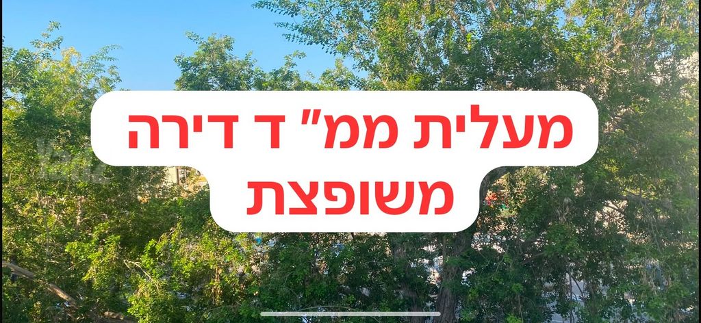 רמב"ם