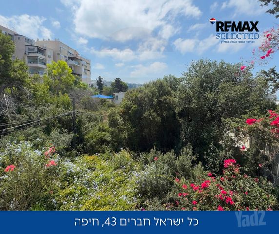 Haifa, Israel 13