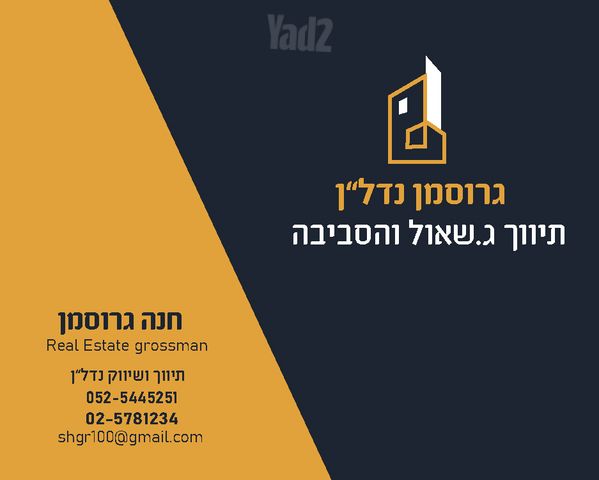 עמרם גאון 