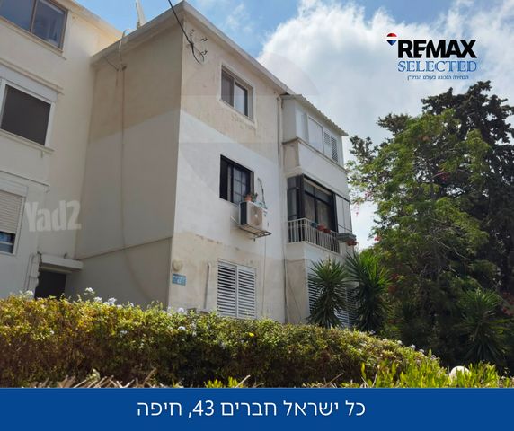 כל ישראל חברים 43