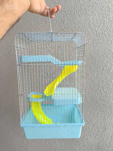 תמונת מודעה - חיות מחמד