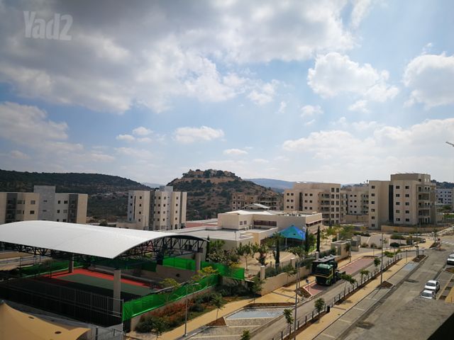 ברקת 16