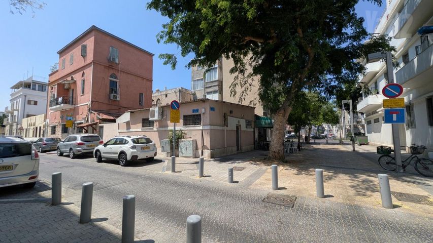 דאנטה 16