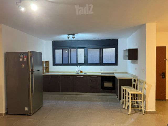 הכרמל 12