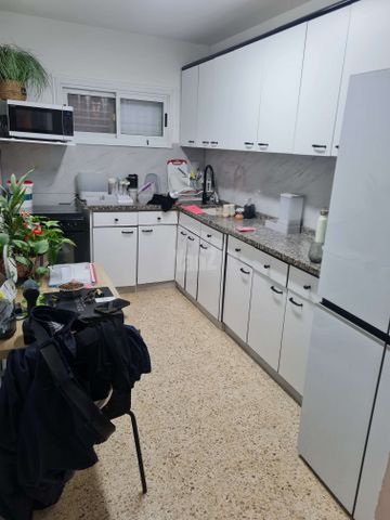 אלפסי 19
