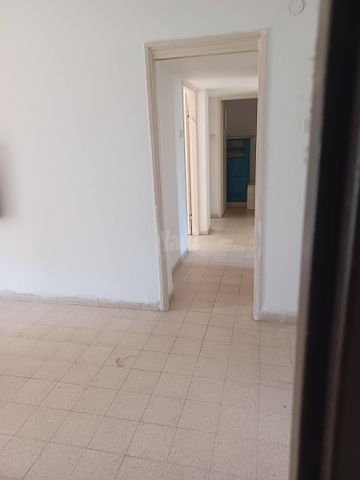 אינטרנשיונל 48