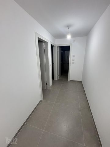 הצבעוני 1