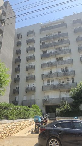 אריה מוצקין 17