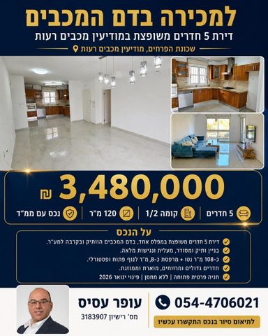 דם המכבים 