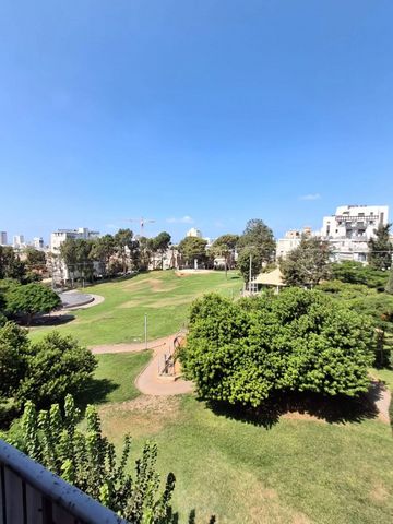 רימון 1