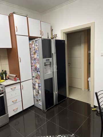 בר כוכבא 60