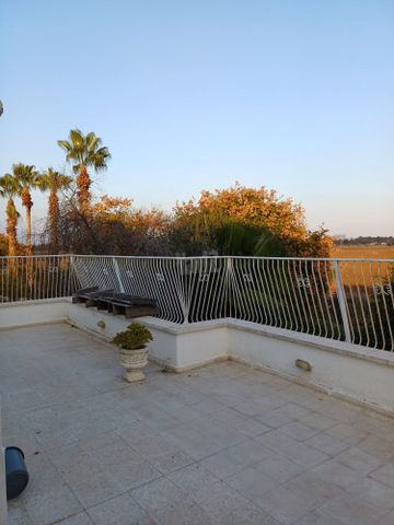 הגלעד 20