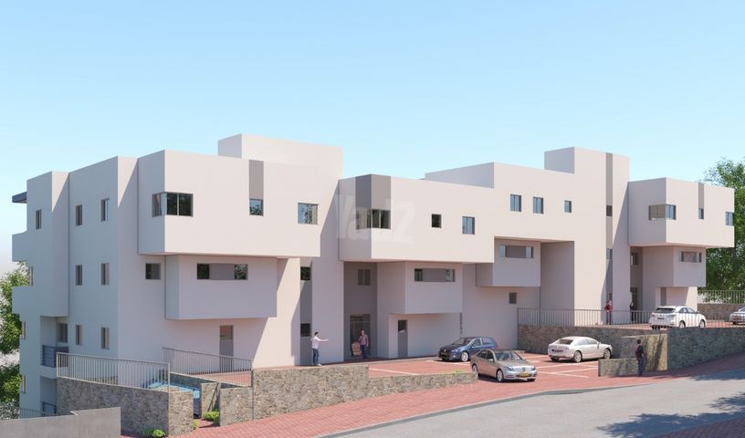 הכרמל 19