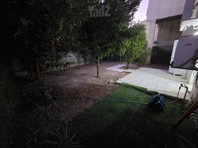 השיקמה 8