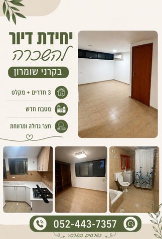 הגבורה 25