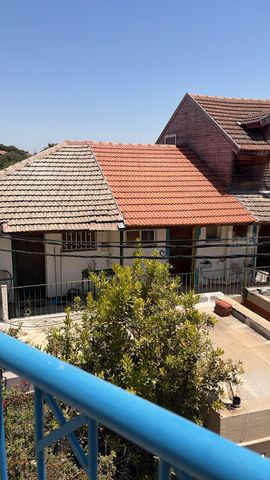 החורש 56