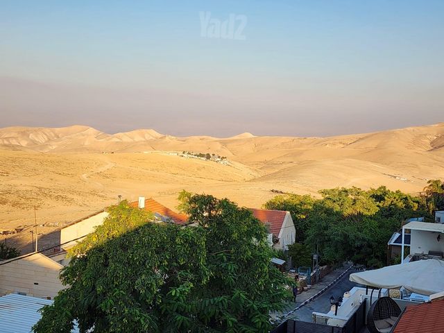 עדן 246