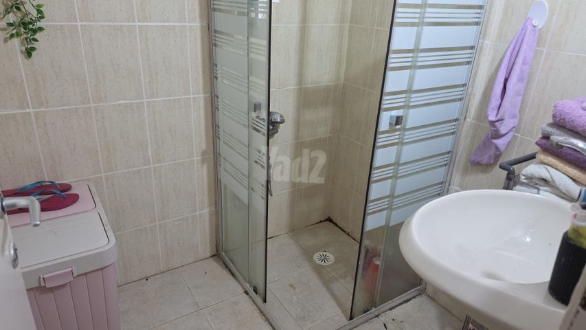 בכור שטרית 11
