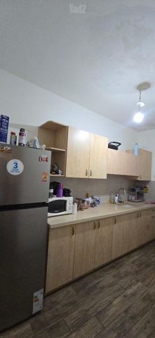 זאב ז'בוטינסקי 31
