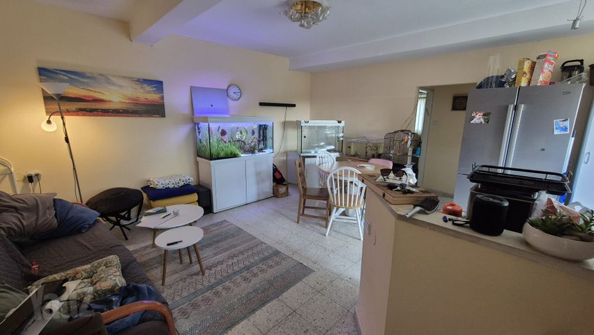 ברקת 21