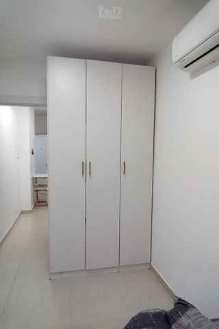 דוד פנקס 1
