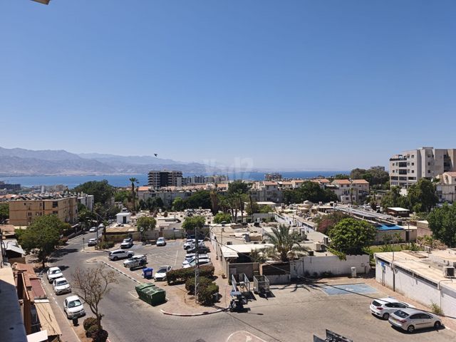 שור 1