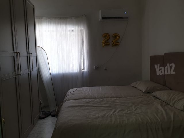 מיכאל וציפורה פינס 5