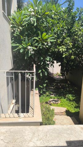 נטעים 29