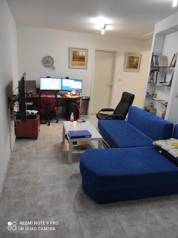 הרקפת 54