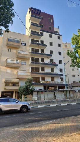 יחיאל מיכל פינס 