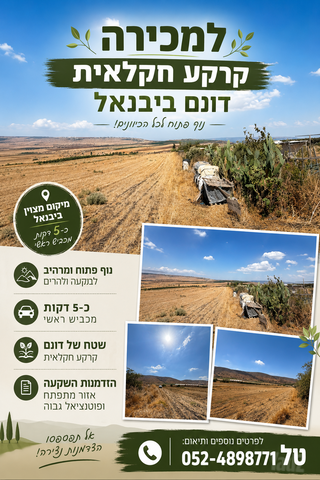 מגרשים