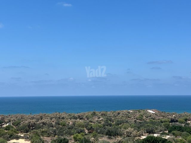 ש"י עגנון 32