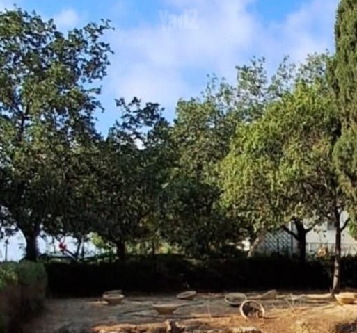 מגרשים