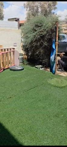 ז'בוטינסקי 