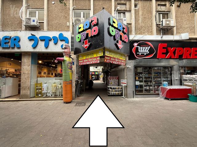 שמואל הנציב 