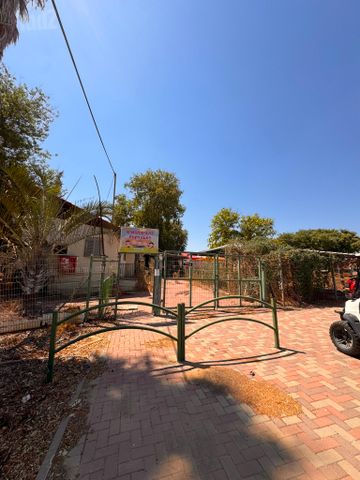 הזית 221