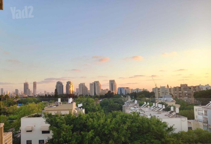 ברודצקי 13