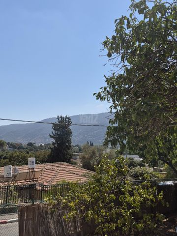הגפן 8