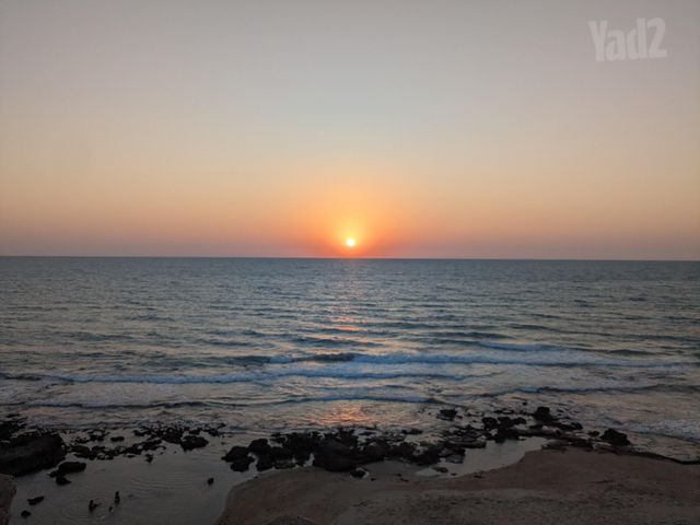 לוחמי גליפולי 15
