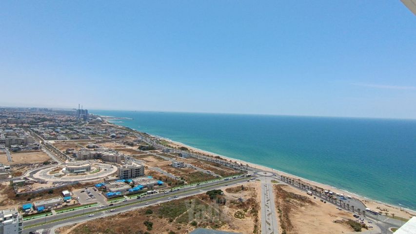 הקונכייה 1