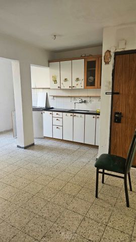 שבטי ישראל 29