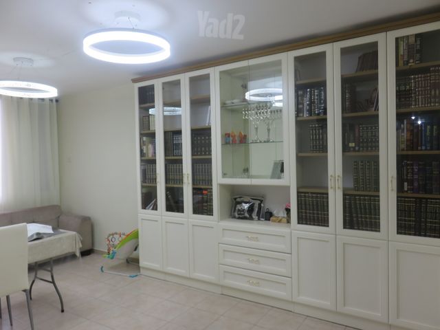 צבי פנקס 11